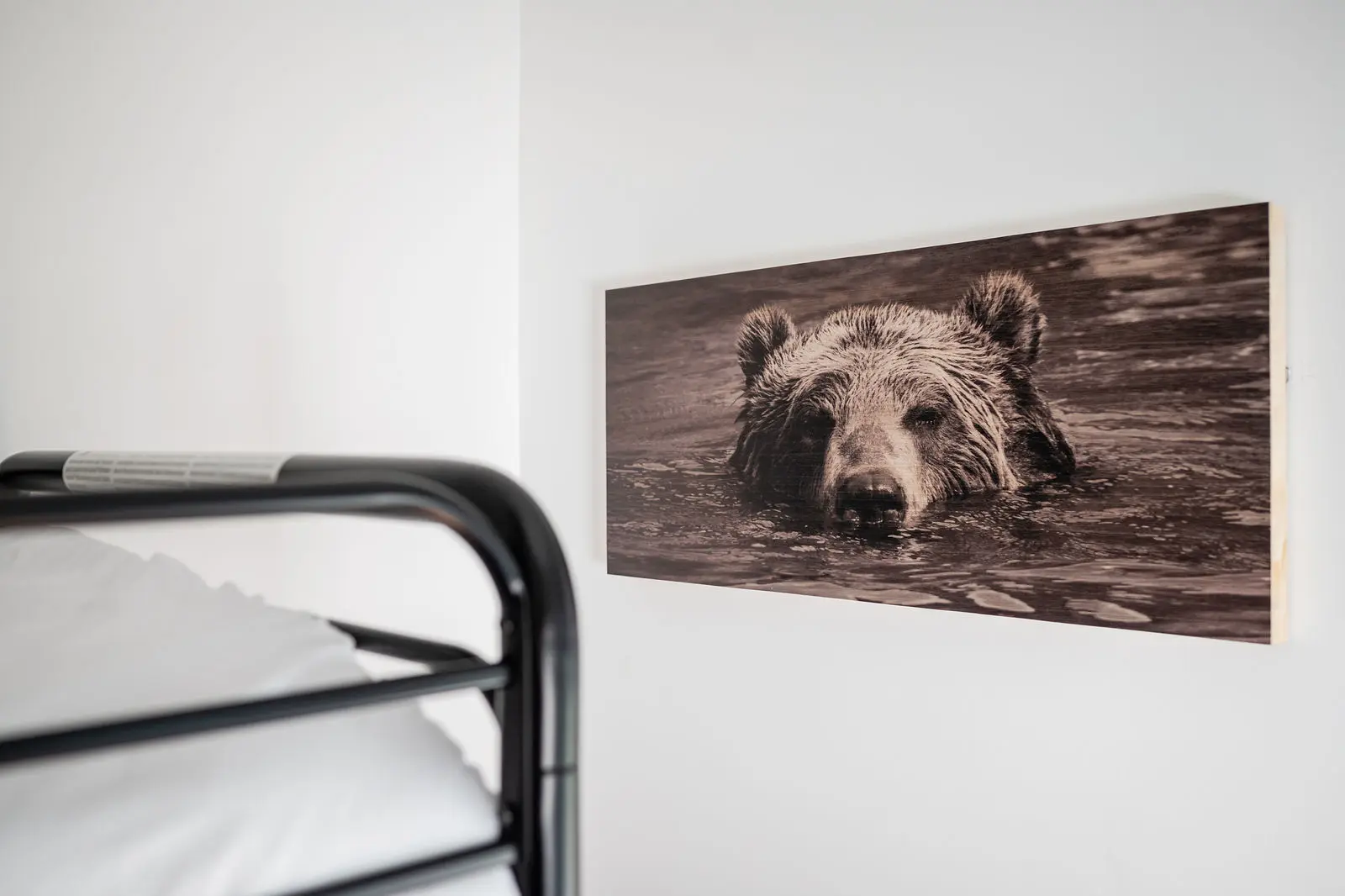 A bear picture hanging on the wall of a bedroom.